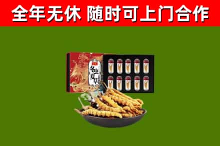 宝坻区回收冬虫夏草价格