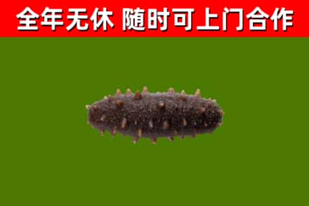 宝坻区烟酒回收干海参.jpg